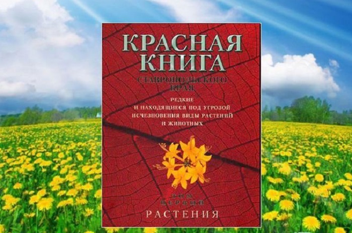 Пошли в лес – возьмите с собой линейку. «Грибной» закон принят