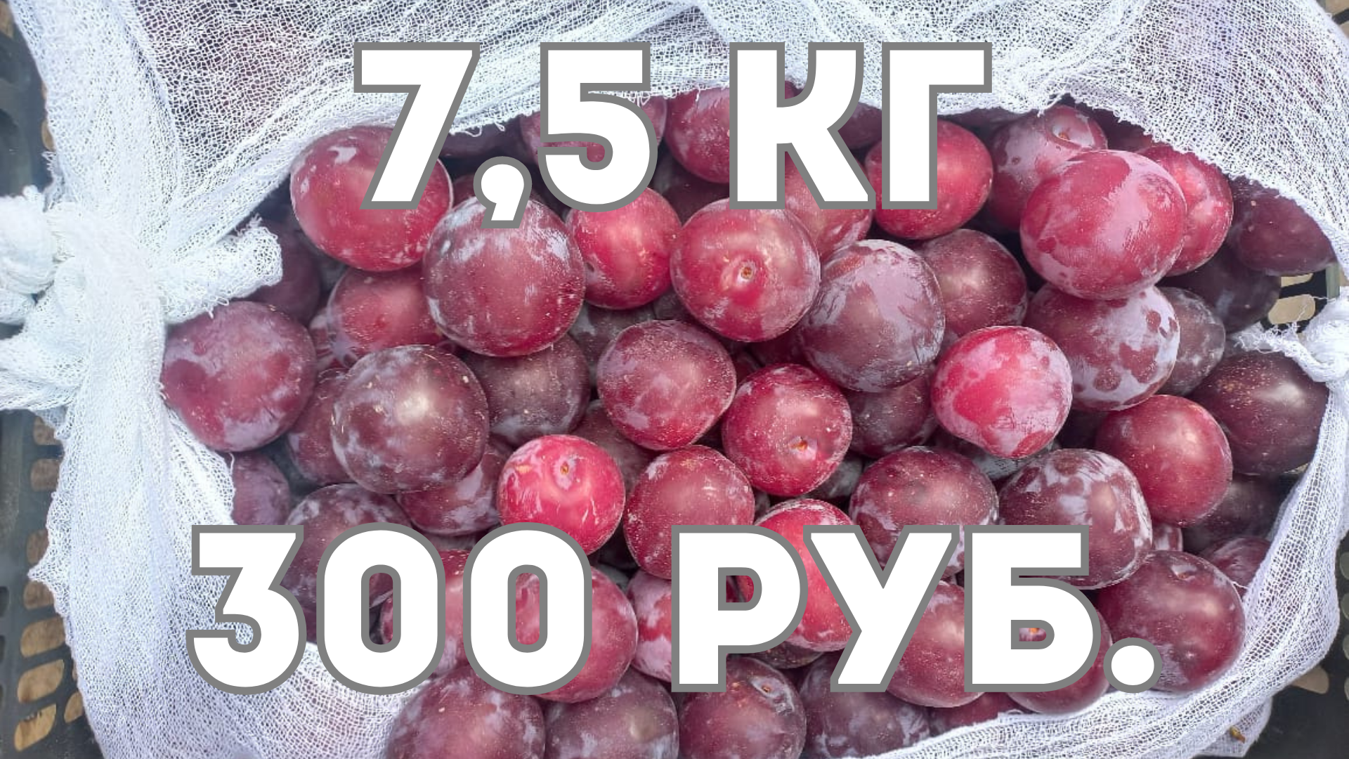 Мустафа открывает нам глаза или какая оптовая цена фруктов в Сибири