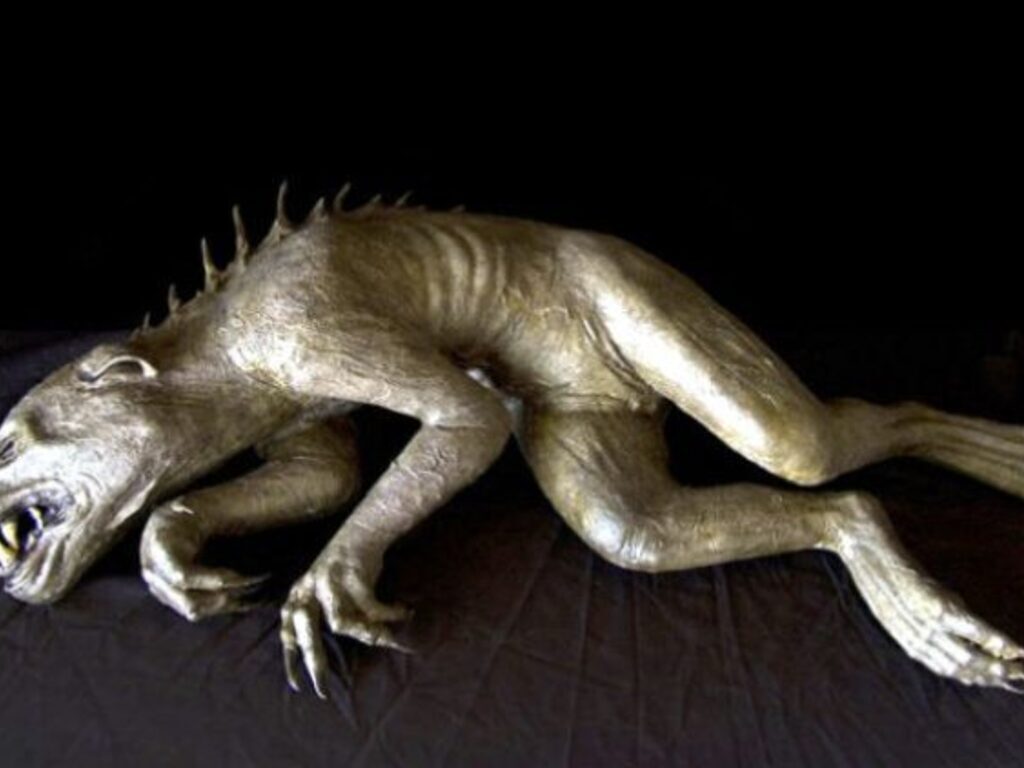 Загадочная Чупакабра: правда или вымысел?