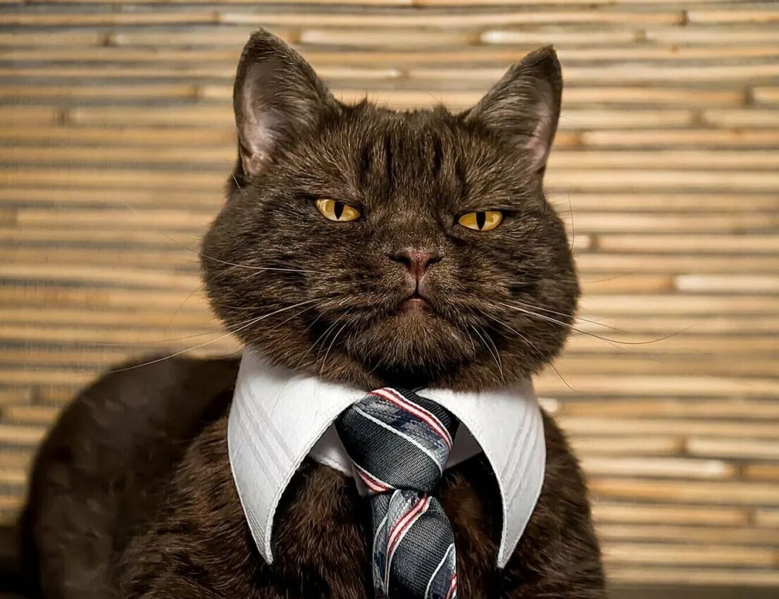 5 путей проявить свои лидерские качества, даже если вы не на руководящей должности