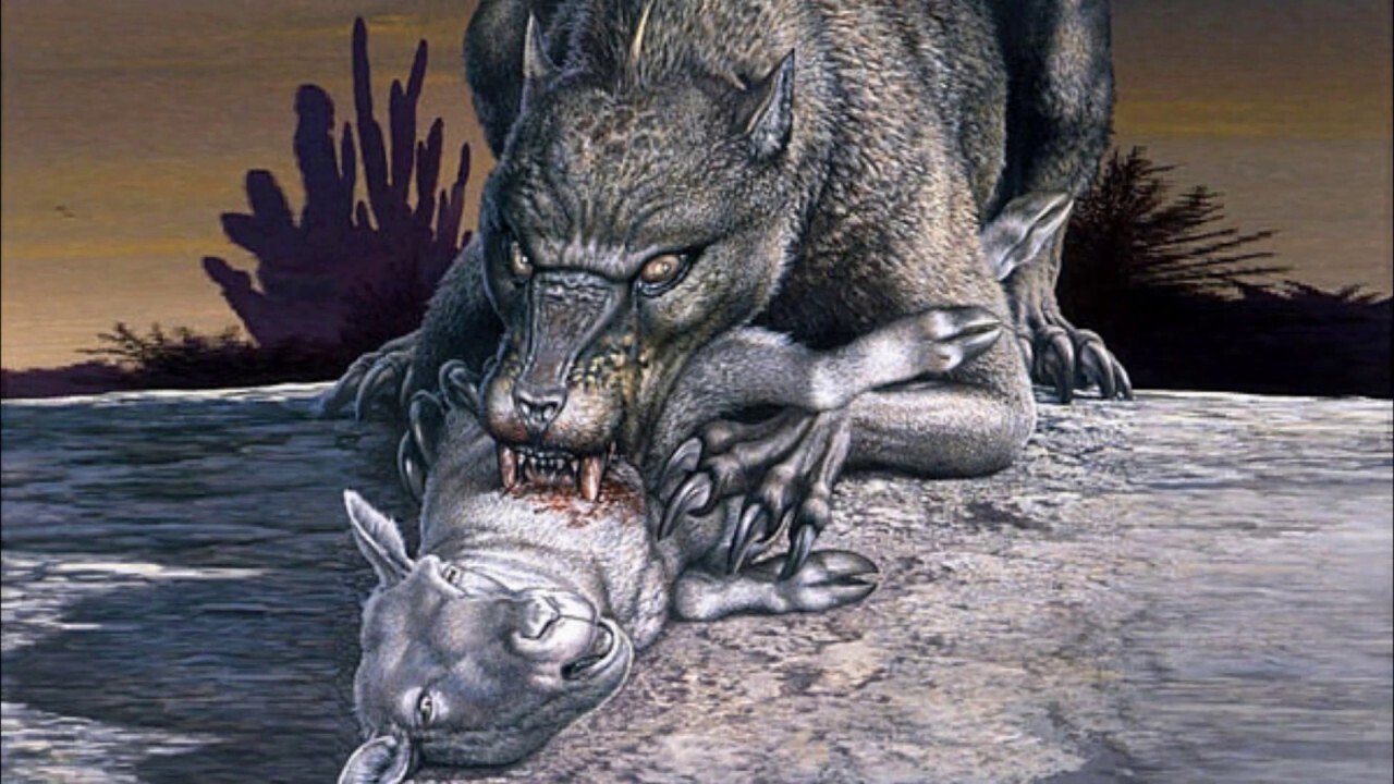 Загадочная Чупакабра: правда или вымысел?