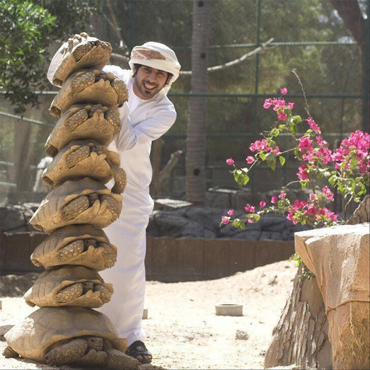 Невероятные чудеса Дубая!