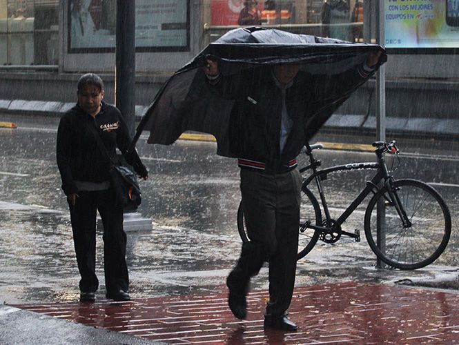 Самая жара — перед дождем. Петербург обновил температурный максимум