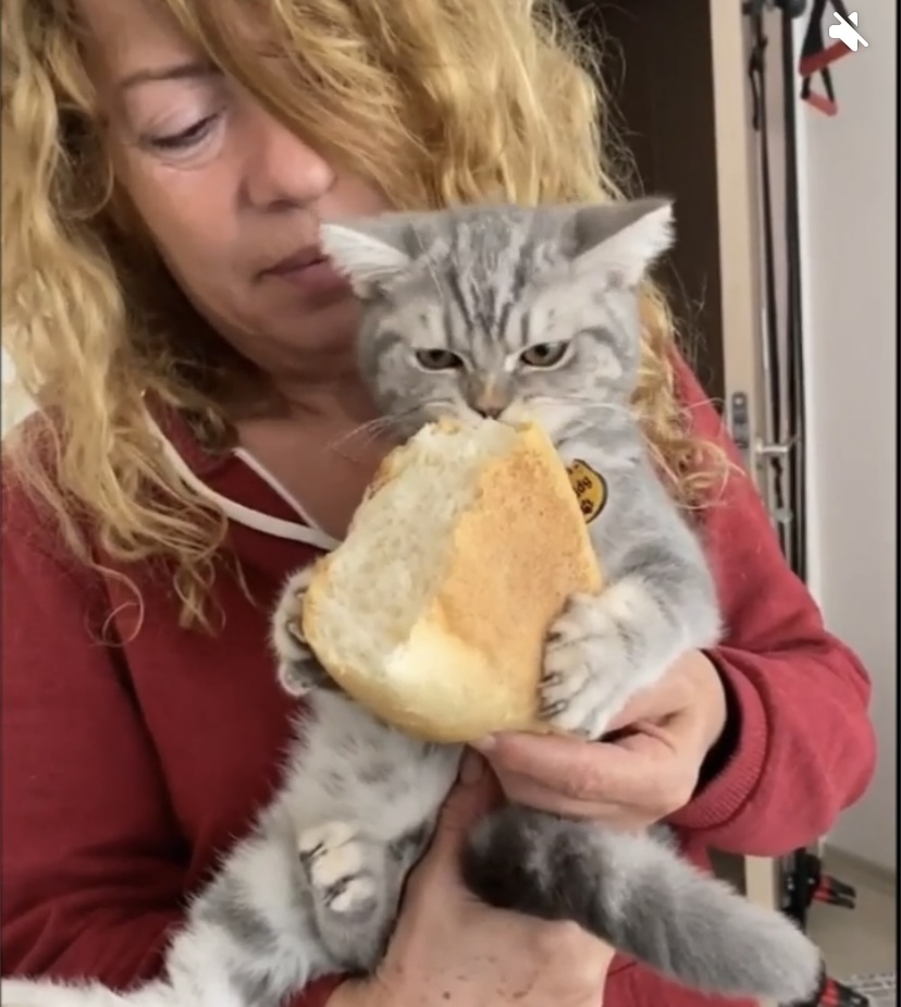 «Страна не может называться богатой, пока в ней есть люди, живущие в бедности» - 10 признаков, которые влияют на благосостояние населения