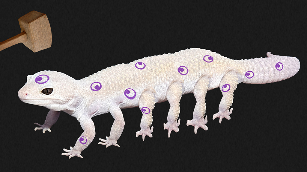 Никогда, никому и ничего не нужно доказывать и навязывать