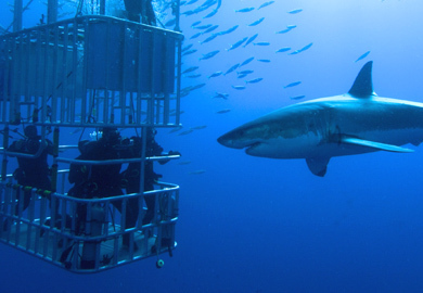 Экстремальный туризм в мире: Топ 7 - от тура "Титаник" до погони за торнадо