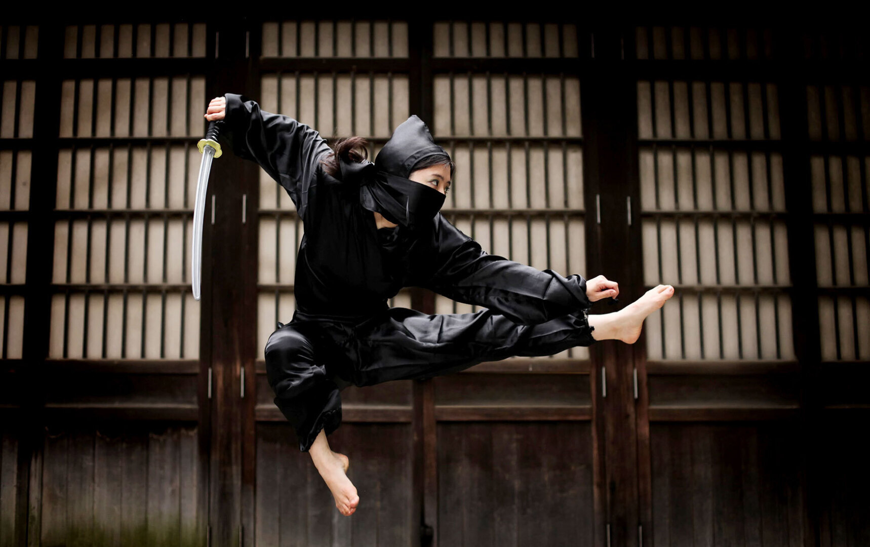 Сколько видов Боевых Искусств в Мире? (часть 3)