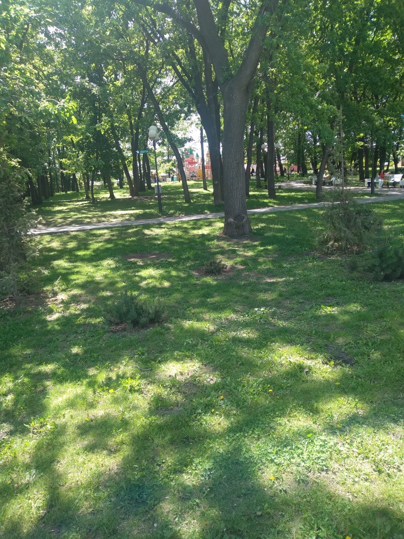 Прогулка по парку. Релакс рядом.