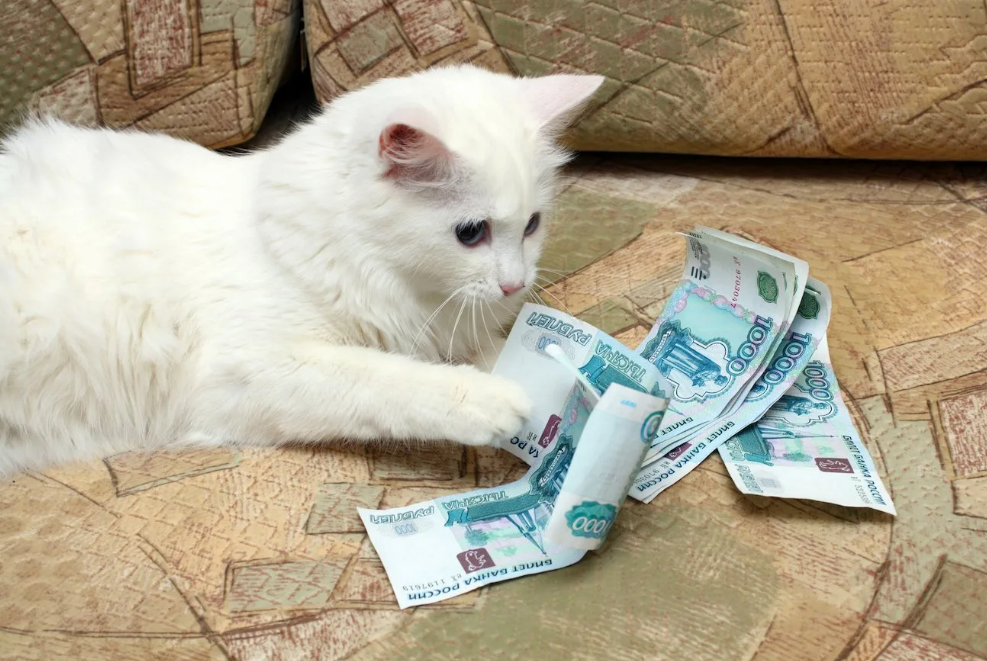 Как наслаждаться экономией, а не испытывать стресс: 9 полезных советов