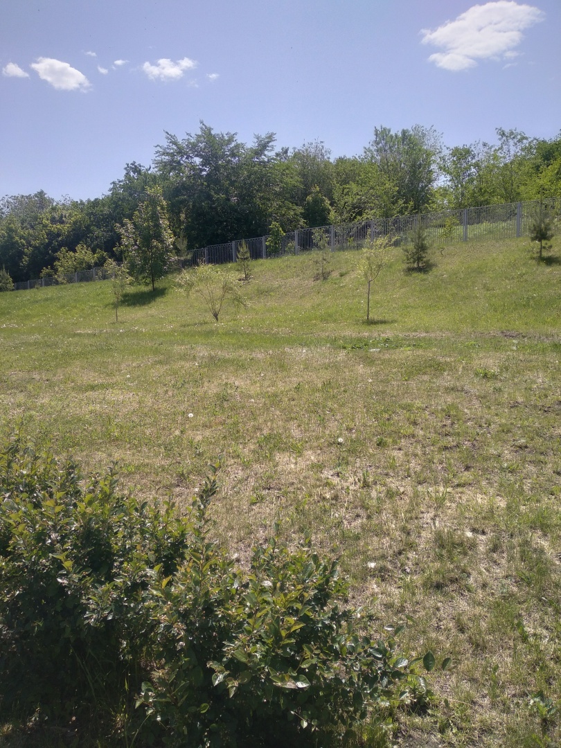 Прогулка по парку. Релакс рядом.