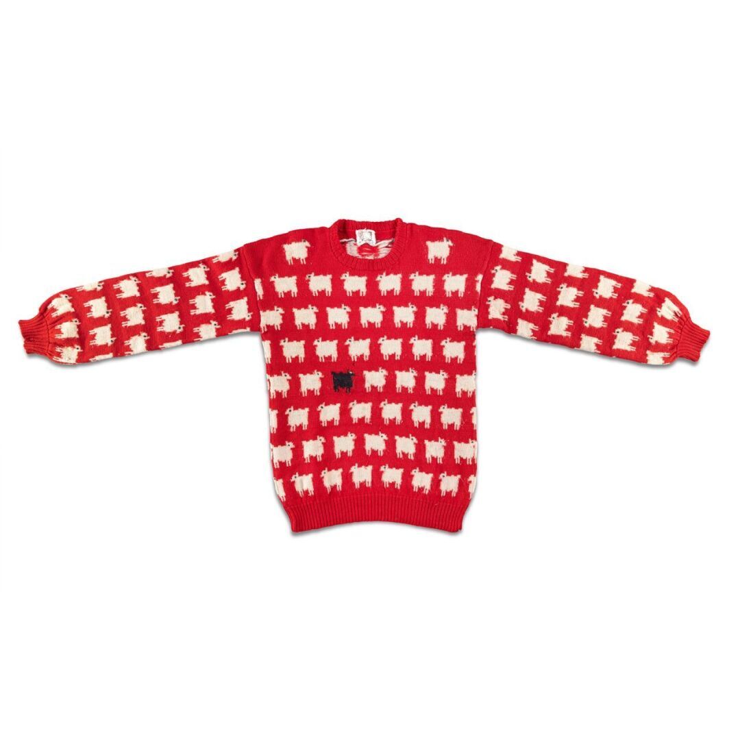 Знаменитый свитер принцессы Дианы ‘черная овца’ выставлен на аукцион