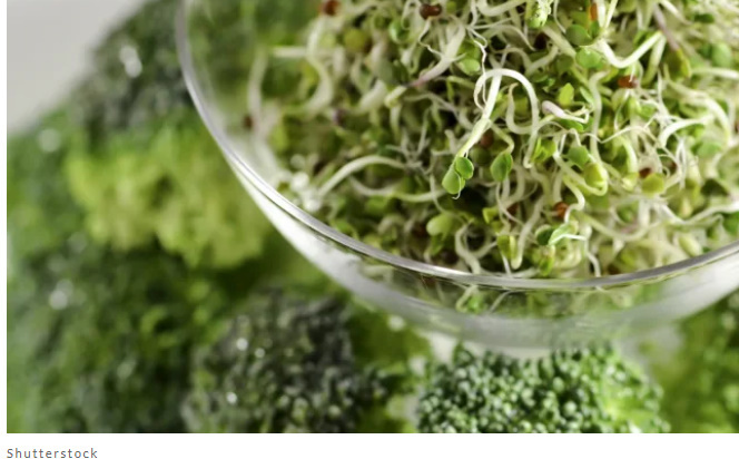 30 самых полезных продуктов, которые нужно есть каждый день