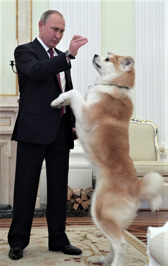 Путин и его друзья.