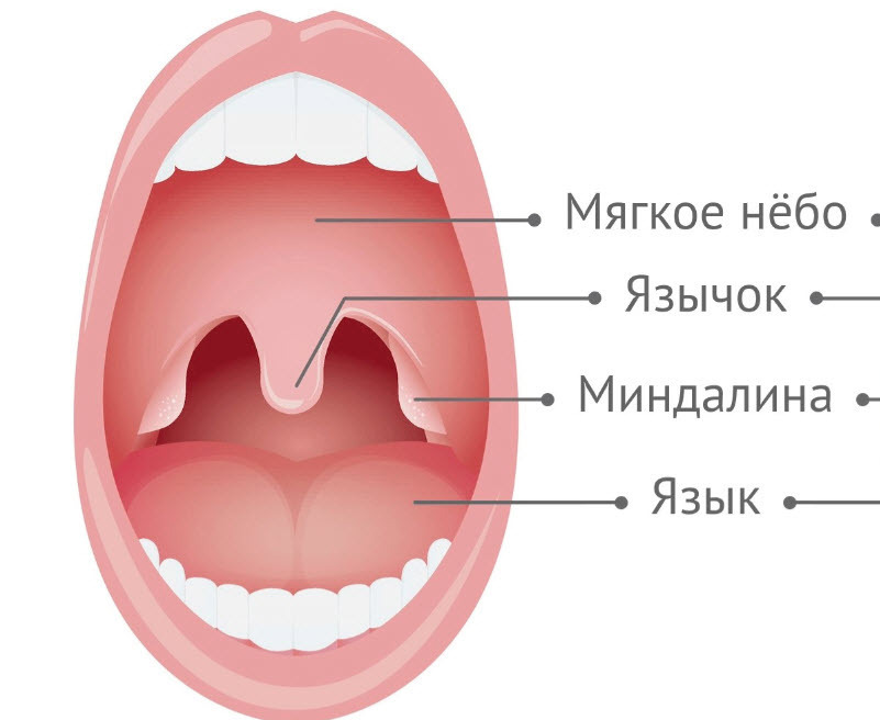 Тот кто храпит засыпает первый. Как я избавилась от ̶м̶у̶ж̶а̶ храпа?