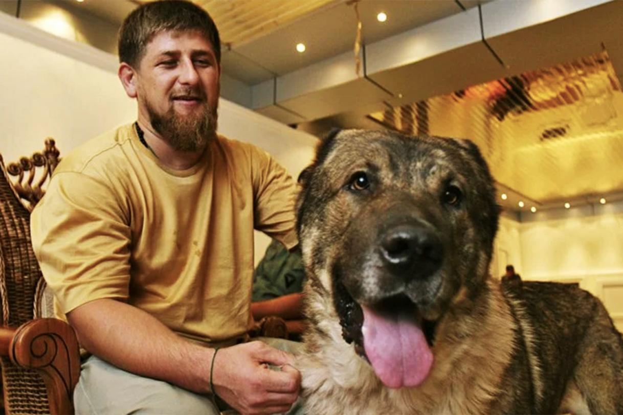 Путин и его друзья.