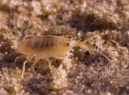 Осторожно, Крым! Опасности, которые могут вас подстерегать на отдыхе