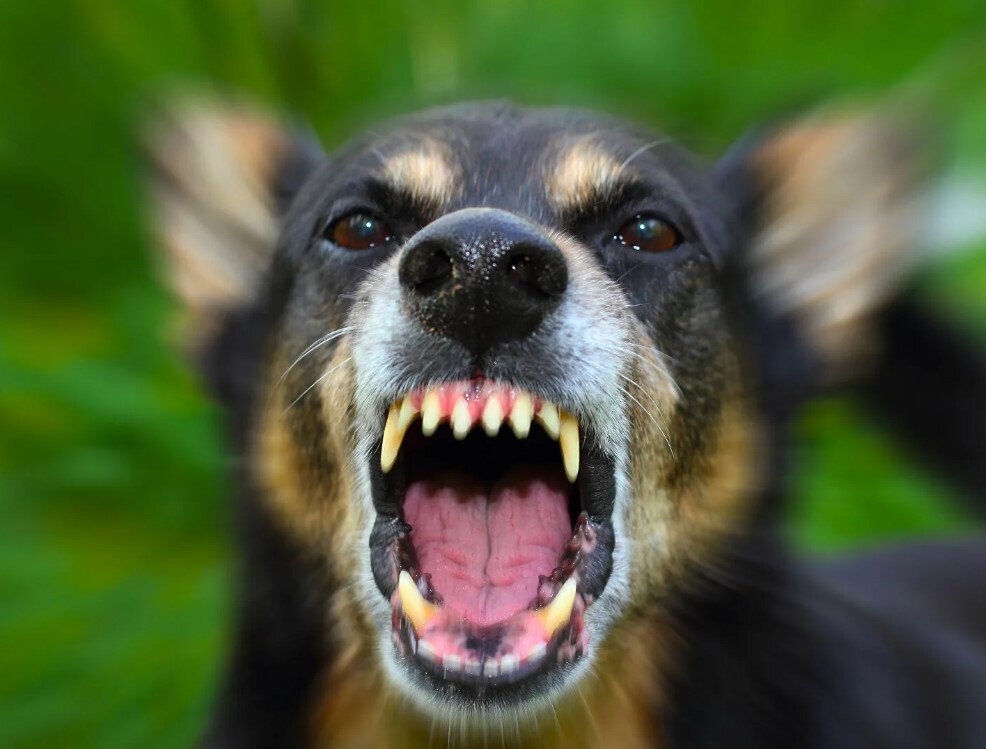 Шесть опасностей, которые вы точно недооцениваете