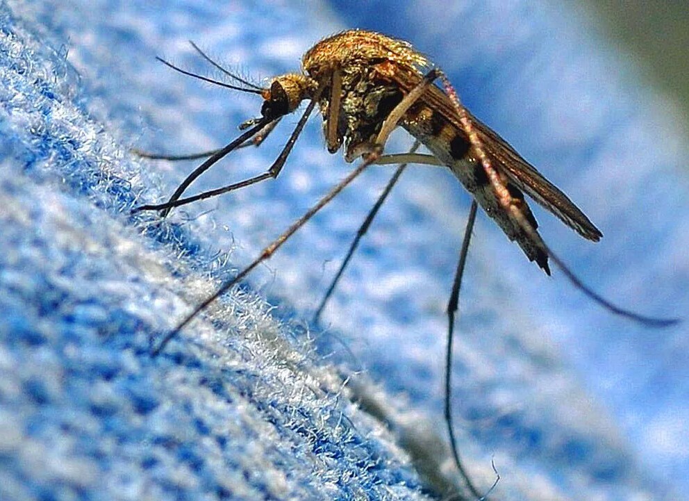 Шесть опасностей, которые вы точно недооцениваете