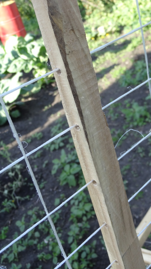 Несколько слов о «Русском чае».