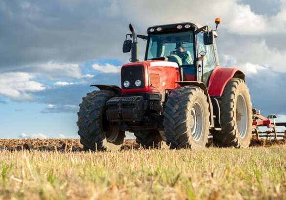 Загадочные Яйца В Поле Заставляют Фермера Плакать.