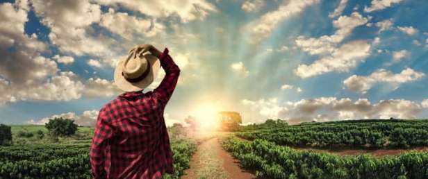 Загадочные Яйца В Поле Заставляют Фермера Плакать.