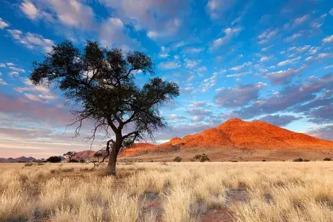 Пригожин — в Белоруссии: зачем он нужен Лукашенко, что будет делать дальше