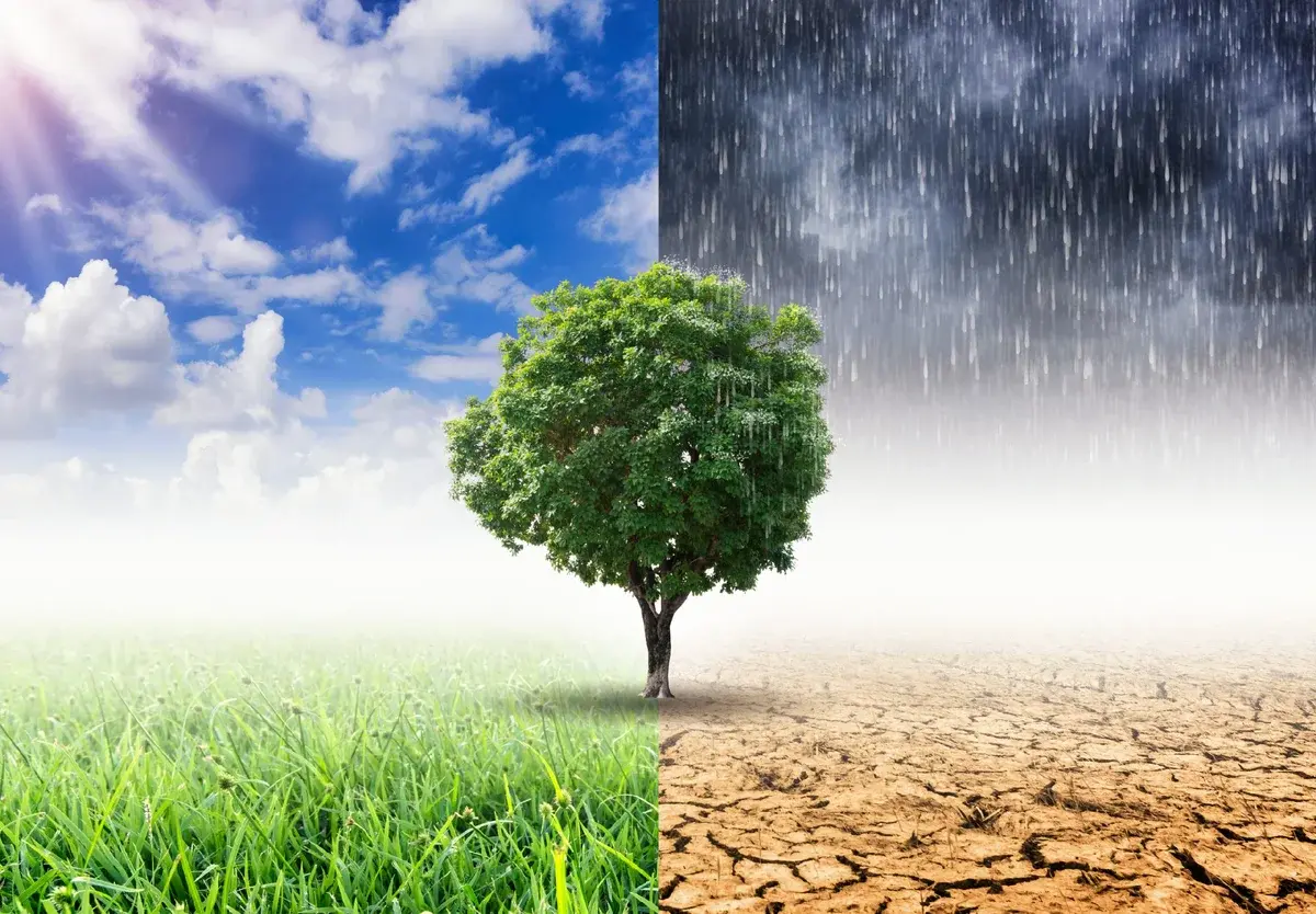 "Глобальное потепление и его влияние на погоду: причины, последствия и вызовы для нашей планеты"