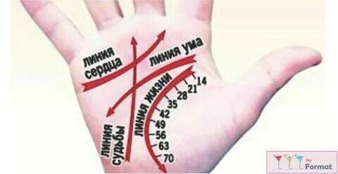 Для чего нужны линии на ладони?