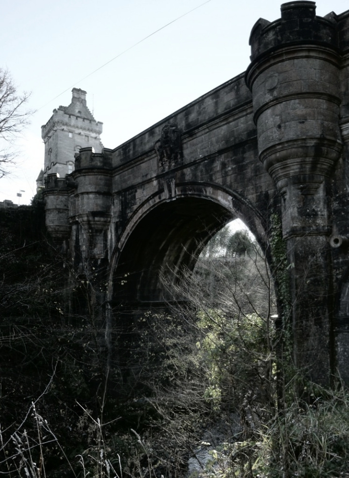 Трагедия: мост овертона уносит жизни невинных собак.
