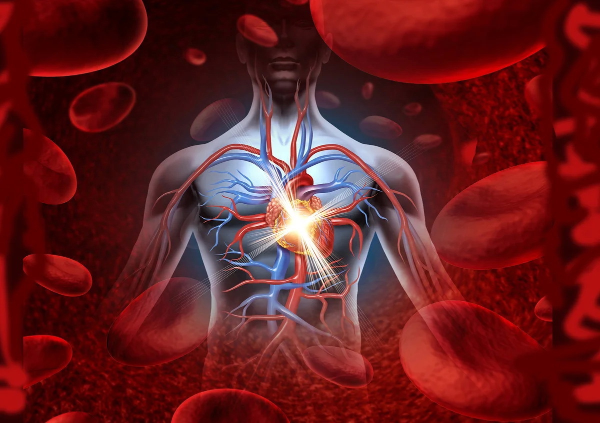 О главной Тайне здоровья и долголетия человека, о которой нигде не говорится!!