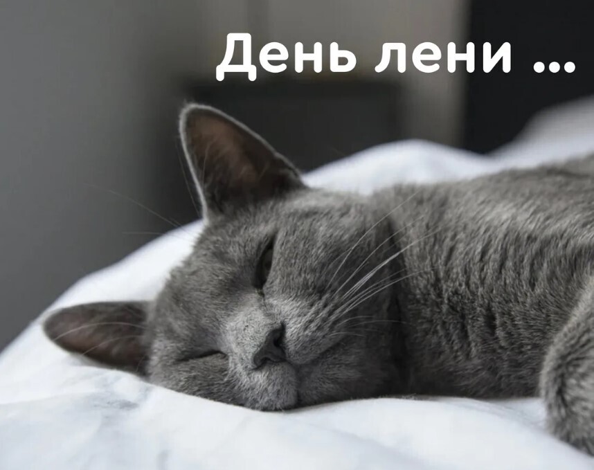 "Как сделать свои понедельники более приятными и улучшить свою жизнь?"