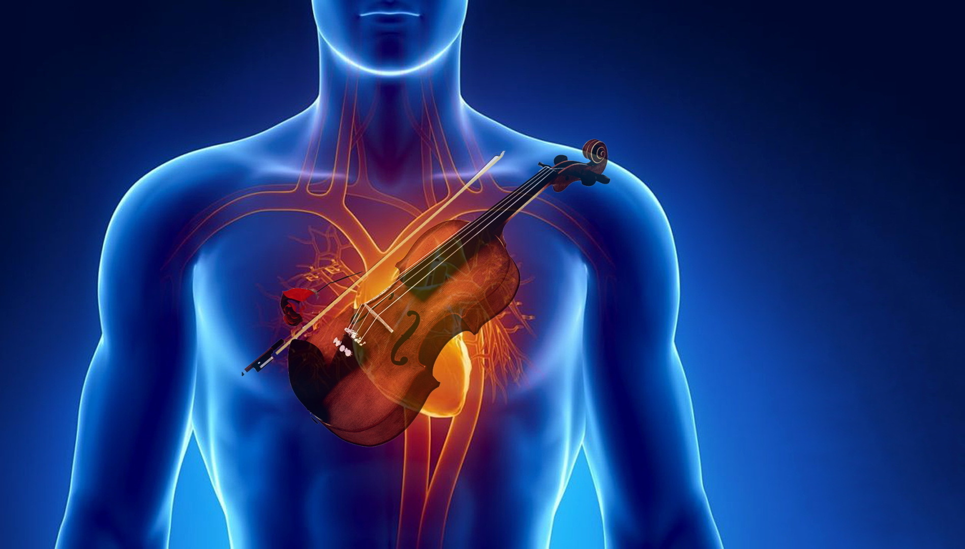 О главной Тайне здоровья и долголетия человека, о которой нигде не говорится!!