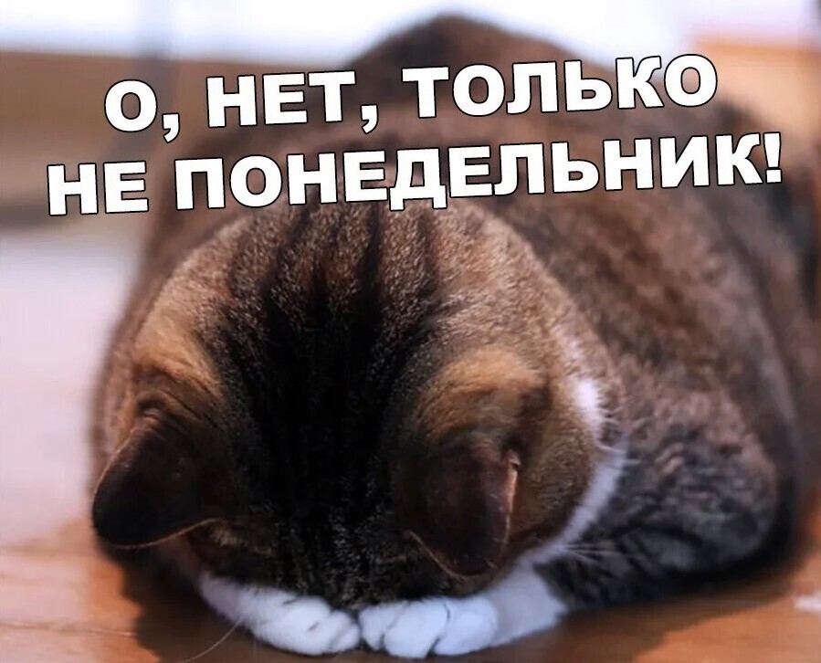 "Как сделать свои понедельники более приятными и улучшить свою жизнь?"