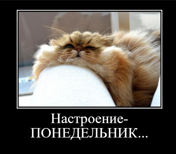 "Как сделать свои понедельники более приятными и улучшить свою жизнь?"