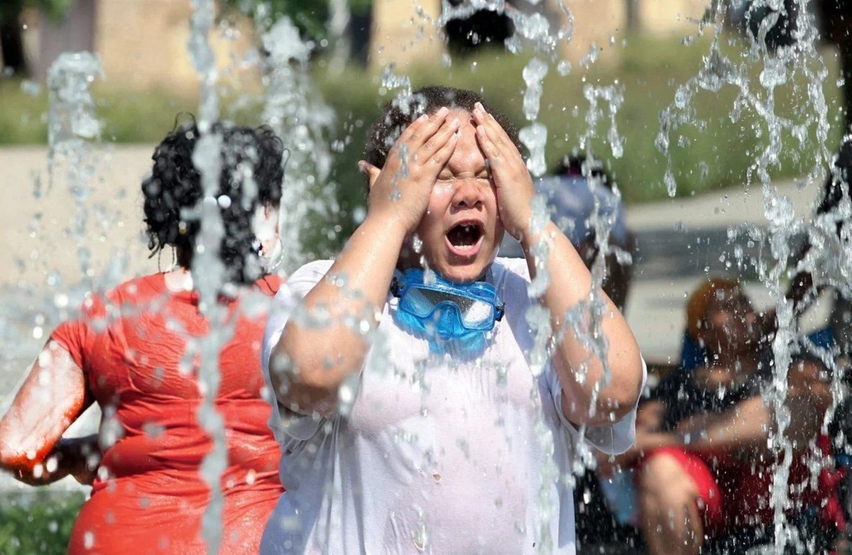 Проблема, вызванная глобальным изменением климата