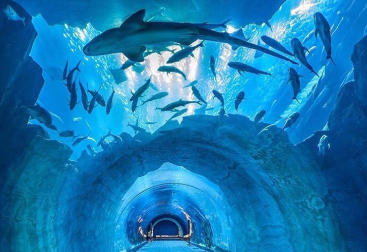 Причудливые чудеса Дубая 2 часть