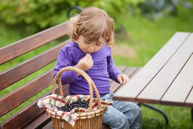 Рассказ про черную смородину