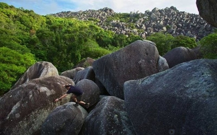 Все еще девственная природа Австралии.