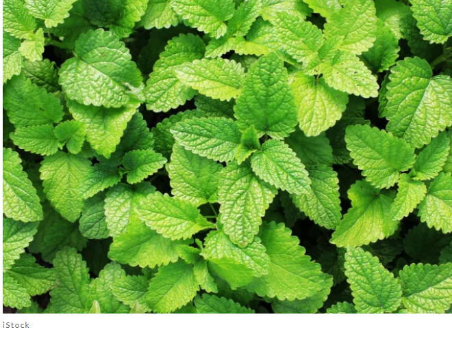 9 продуктов, которые могут вызывать неприятности в пищеварительной системе