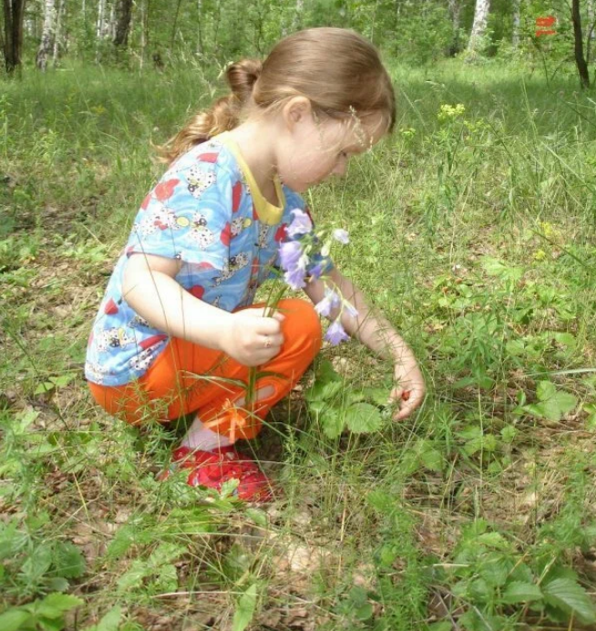 Рассказ про землянику