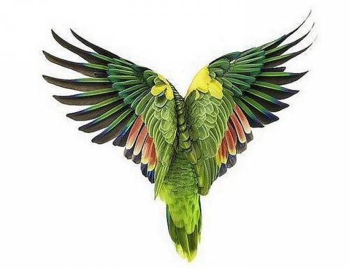 Сенсация продолжения древнего Татуажа.