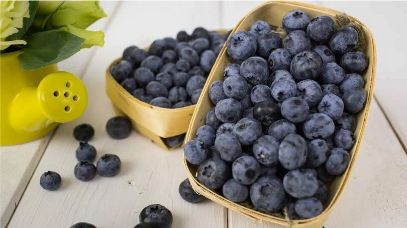 Рассказ про голубику