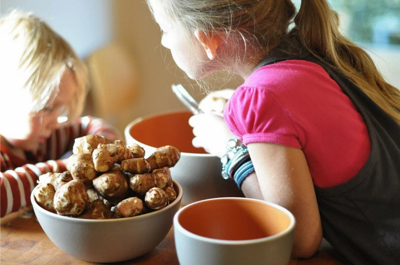 Рассказ про топинамбур