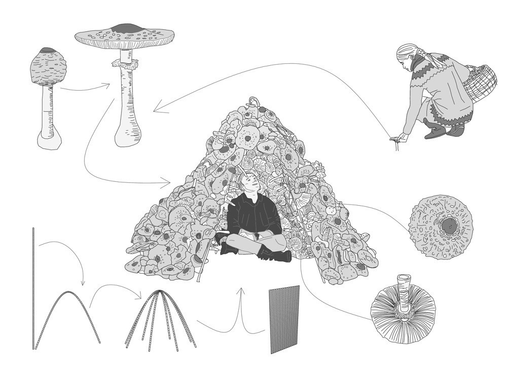 "Грибная шляпа"