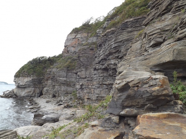 Бухта Тихая невероятные следы биофоссилий.