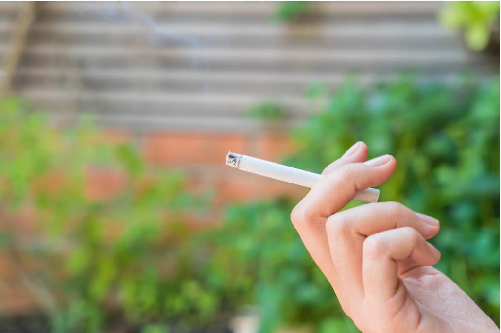 Где можно курить работникам д/сада?