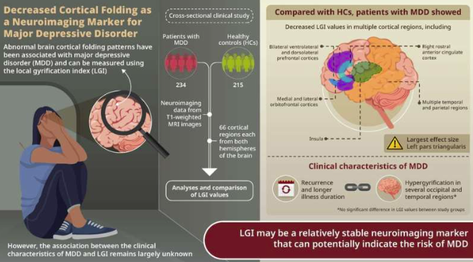 Исследование выявило новый биомаркер большого депрессивного расстройства
