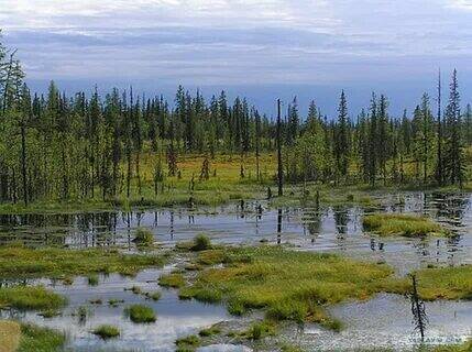 Чудеса России, которые сотворила природа.
