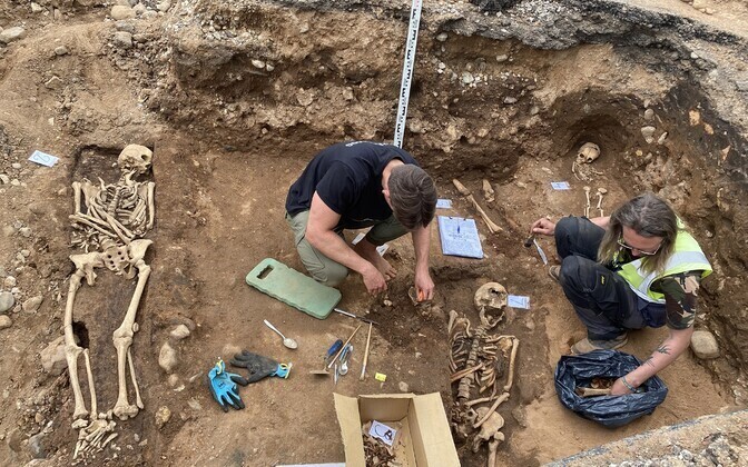 Многовековые скелеты, раскопанные во время строительства дороги в Канепи
