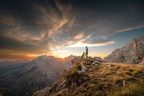Лучшие места для путешествий с собаками по всему миру.